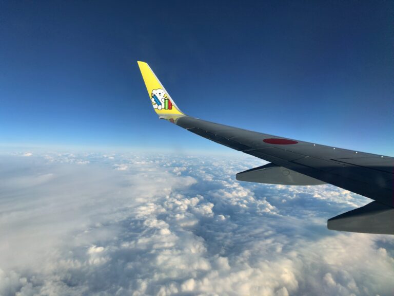 エアドゥを徹底レビュー 料金や手荷物、サービス、座席は?