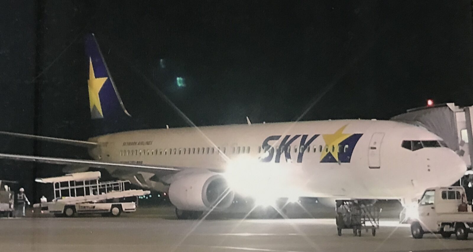 スカイマークの機体