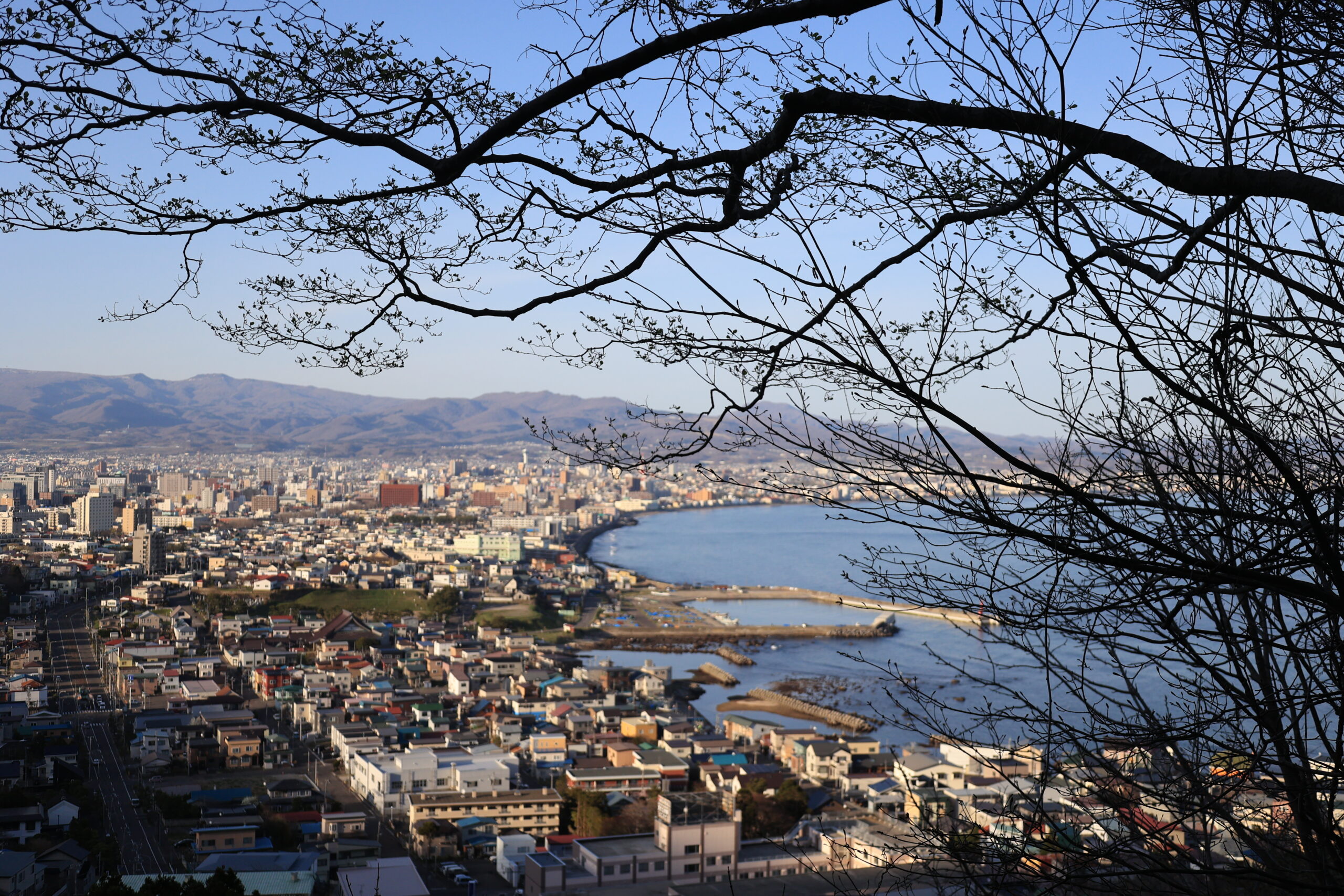 「北海道に関する情報、ぜひお寄せください！」のアイキャッチ画像